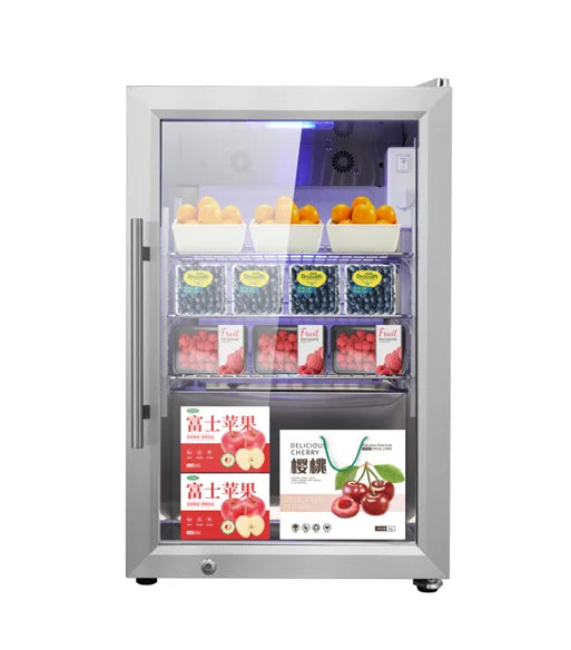 Electric Wine Cooler Outdoor Refrigerator For Drinks/Wine/Tea Waterproof 63L Capacity Lockable Lid